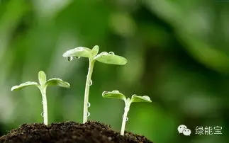 【圖解】太陽能：到底有多“能”？ 