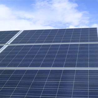 綠能寶“美桔1號(hào)”新能源上市